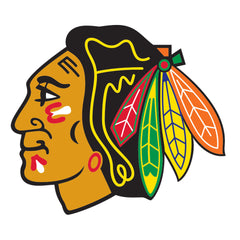 Collection image for: Chicago Blackhawks