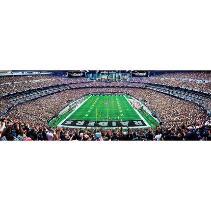 Las Vegas Raiders NFL 1000pc Panoramic Puzzle - End Zone